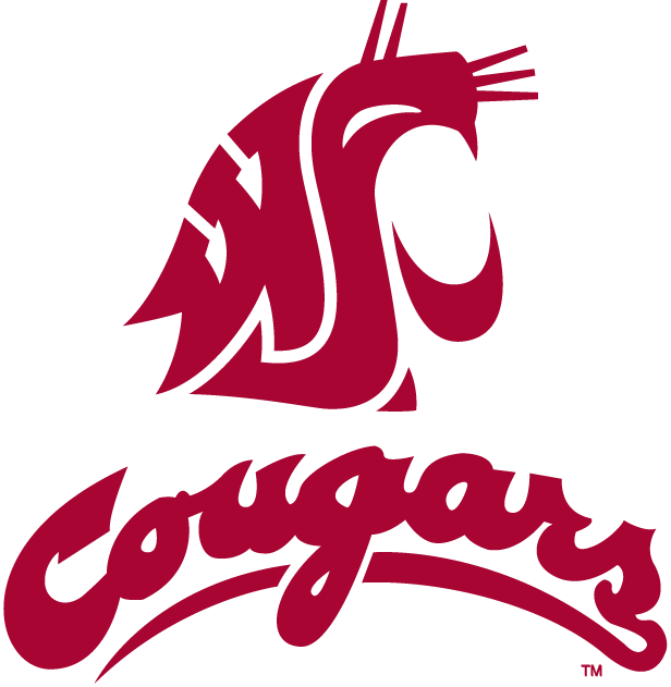 Washington State Cougars 1995-2010 Alternate Logo iron on transfers for fabric